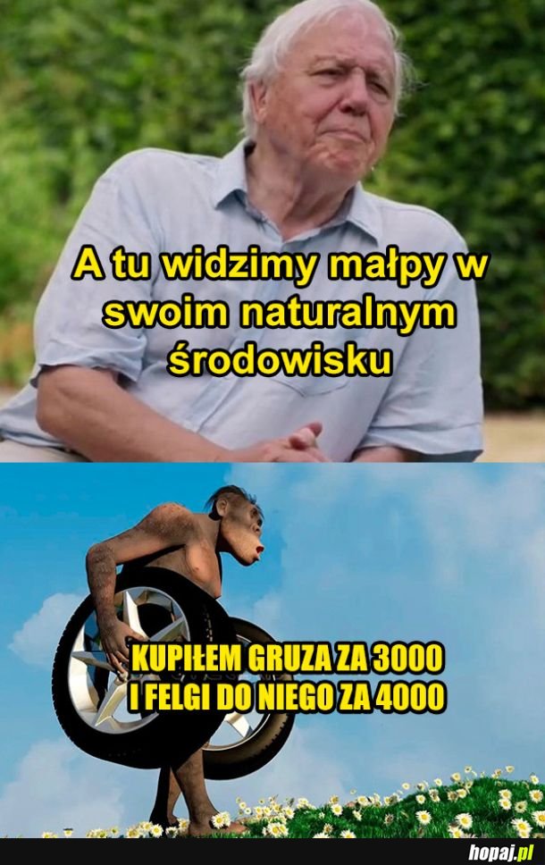 Naturalne środowisko