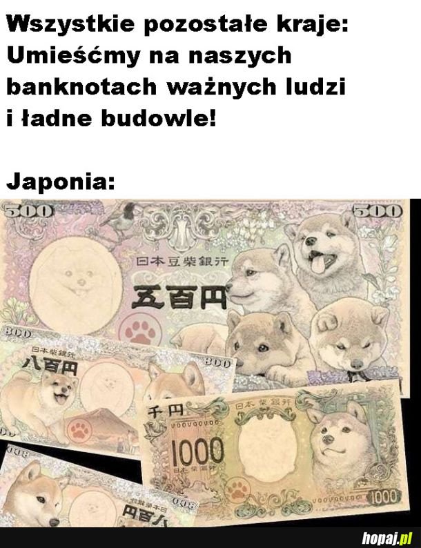 Banknoty