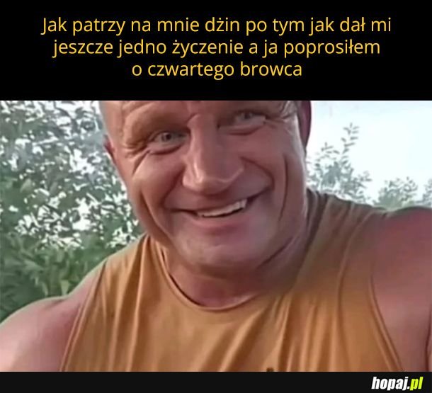 Pudżin