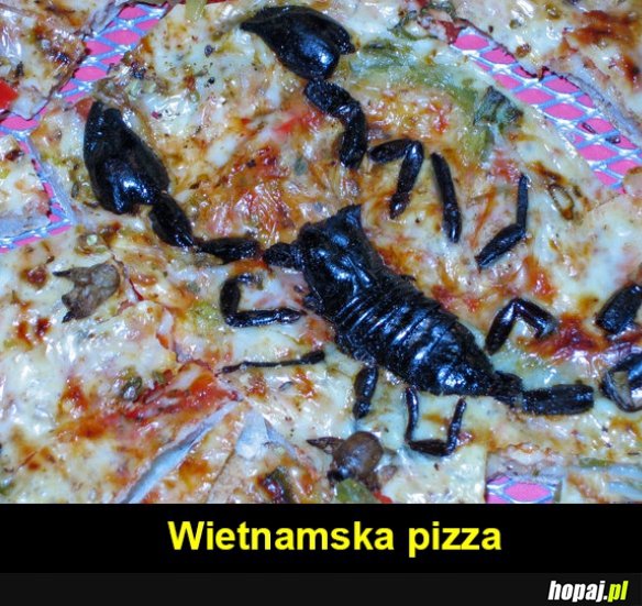 Wietnamska pizza