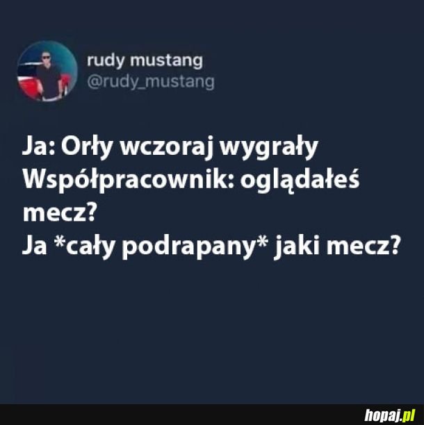 Orły wygrały