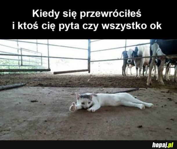 Jest super