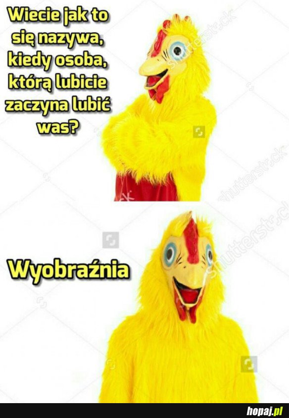 CZAS NA SZCZEROŚĆ