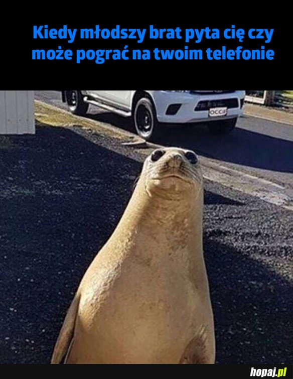 PROSZĘ ODEJDŹ