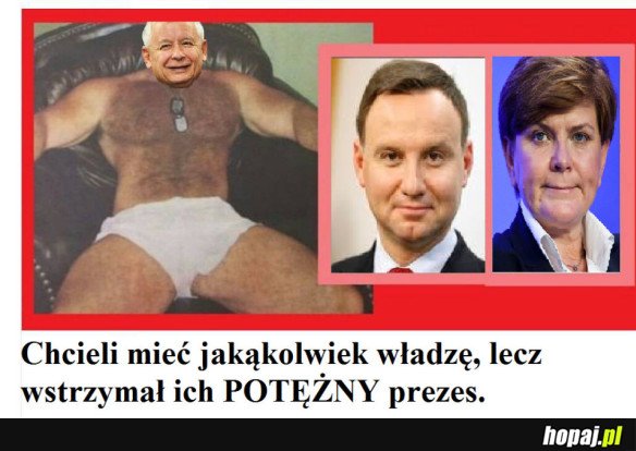 POTĘŻNY PREZES