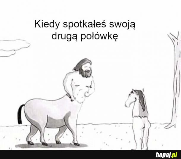 Druga połówka