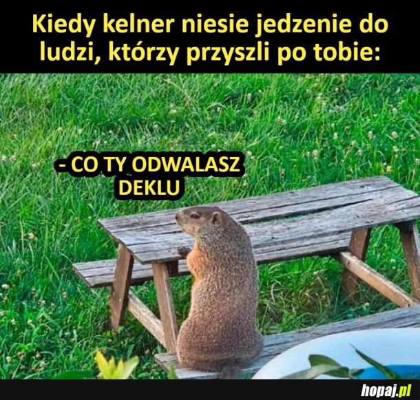 Kiedy ja