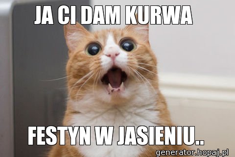 JA CI DAM KURWA 