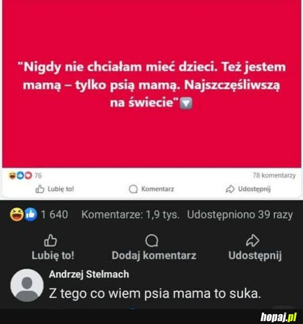 Nie obrażaj suk, ona jest poprostu p***lnieta