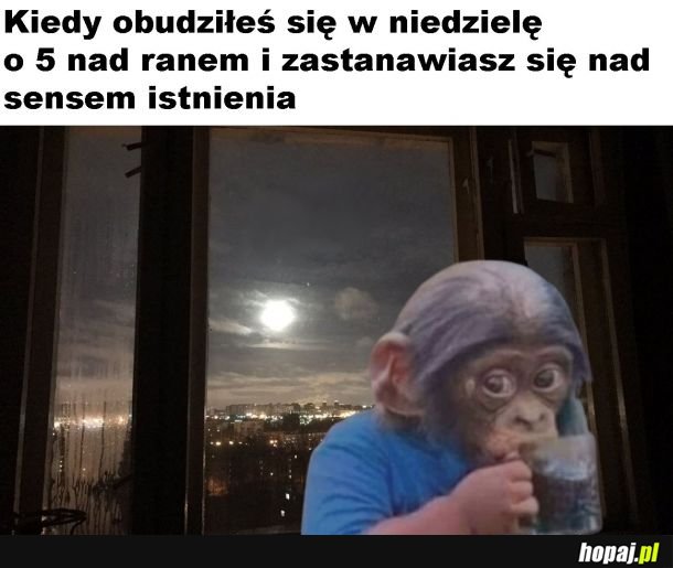 Sens istnienia