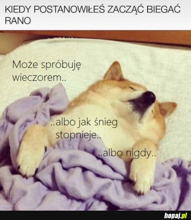 Bieganie