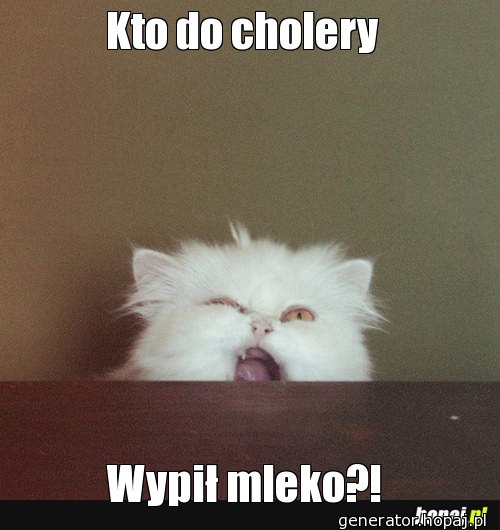 Kto do cholery 