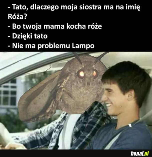 Tato dlaczego