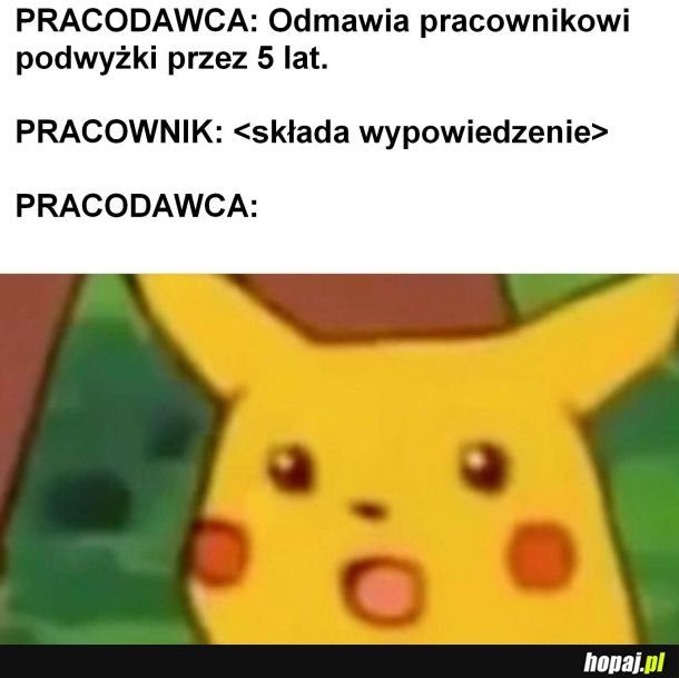 Typowy pracodawca