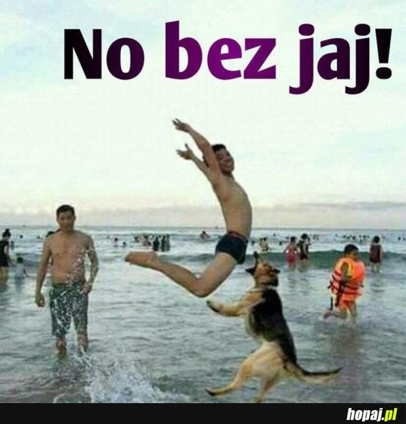 NIE MA JAJ