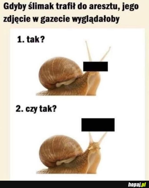 No właśnie - jak?