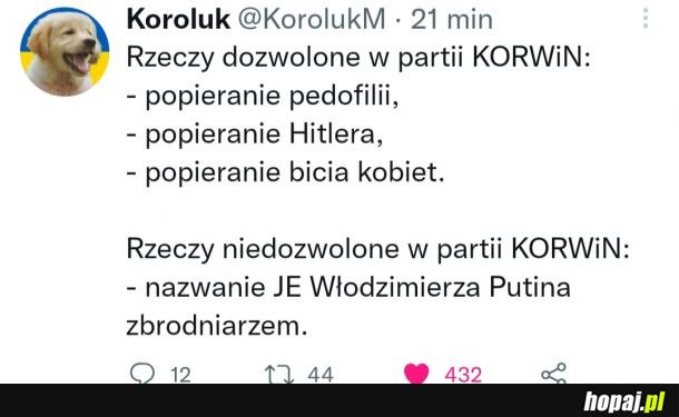 No i czego nie rozumiesz lewaku?