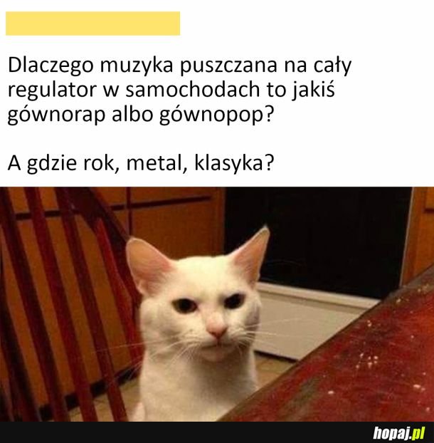 Muzyka w samochodach