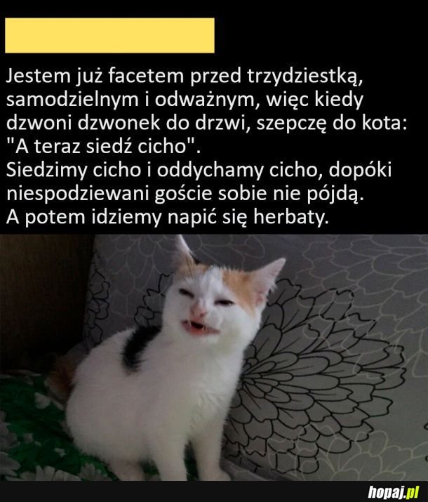 Samodzielność xd