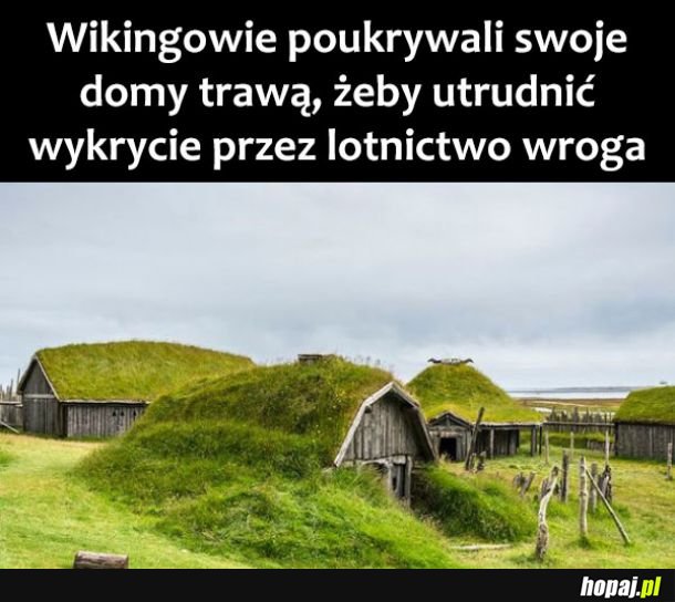 Wikingowie