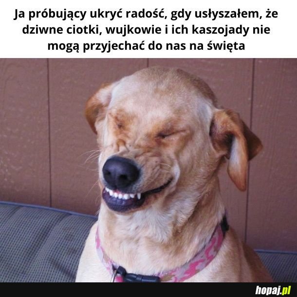 Jakie to przykre