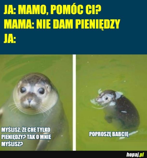 Jak możesz tak z góry zakładać uch