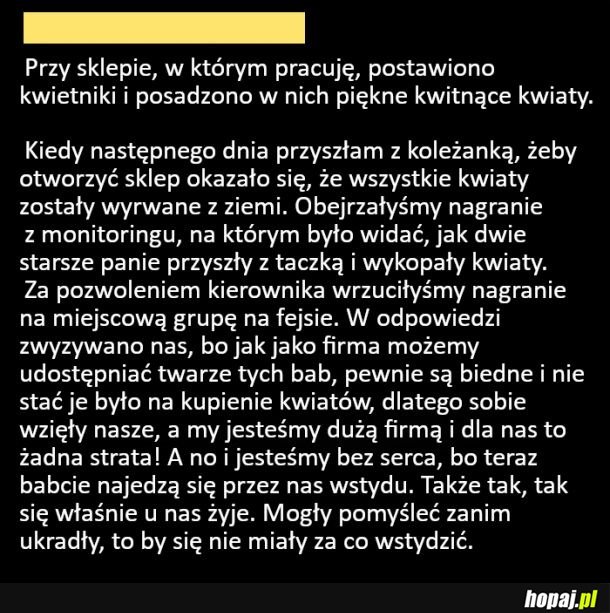 Kradzież kwiatów