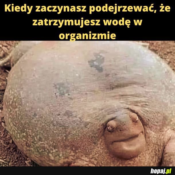 Żabcia. 