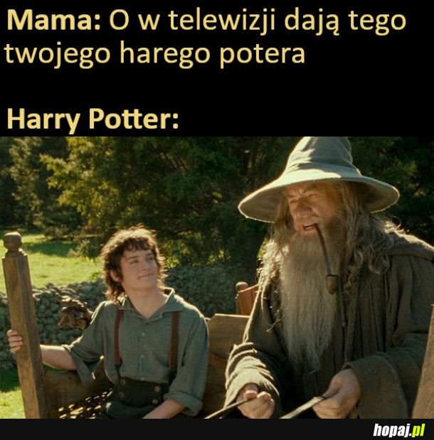 Harry Potter w telewizji