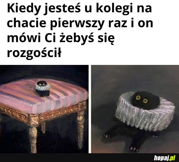 Już bardziej nie mogę się rozgościć!