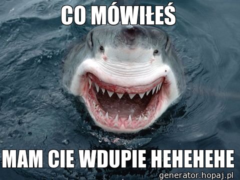 CO MÓWIŁEŚ