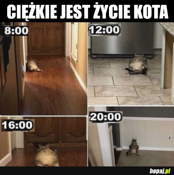 Napięty grafik