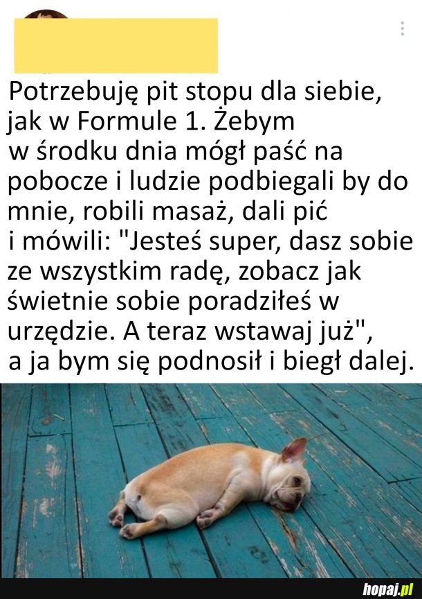 Potrzebuję pit stopu