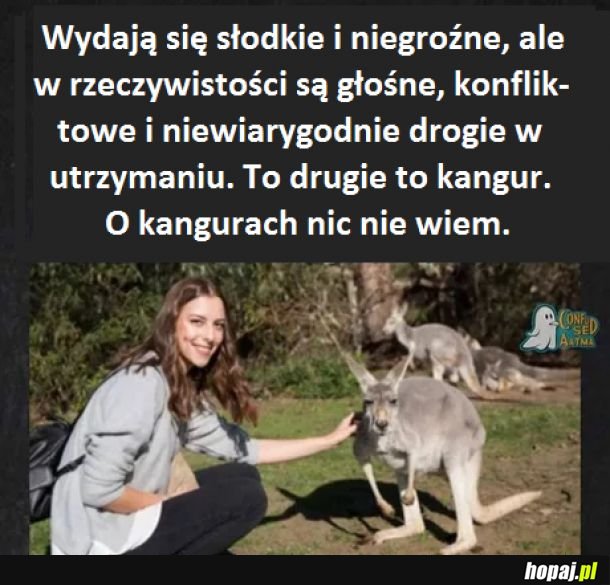 Z kamerą wśród zwierząt