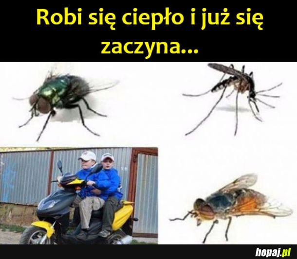 Już są