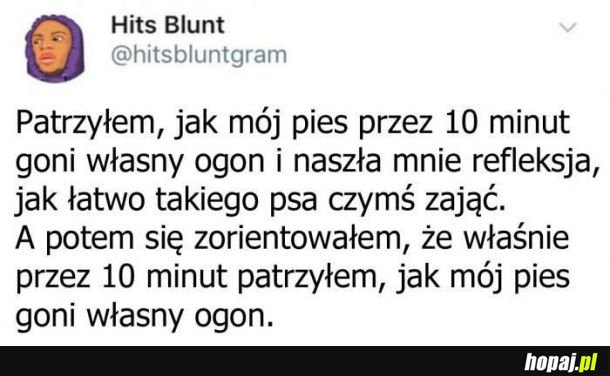 Pies i człowiek są tacy sami