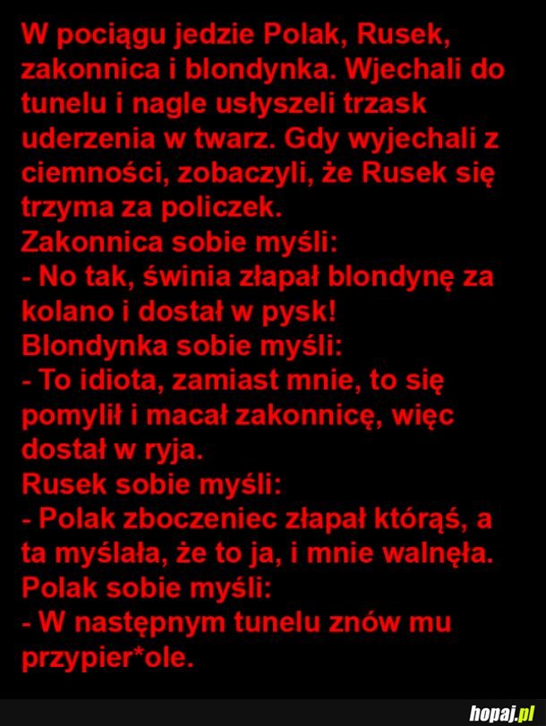 Żarcik kosmonaucik