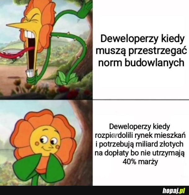 Deweloperzy