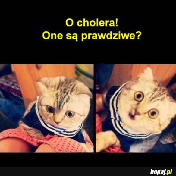 JEDNAK PRAWDZIWE