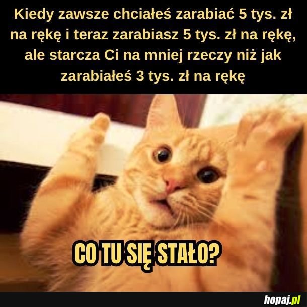 Niestety