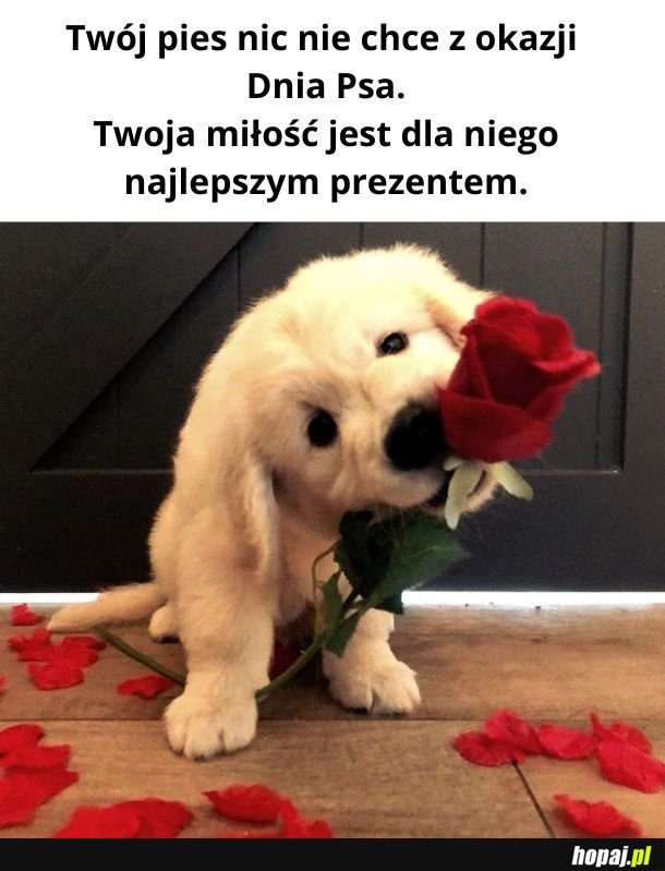 No chyba że ciastko
