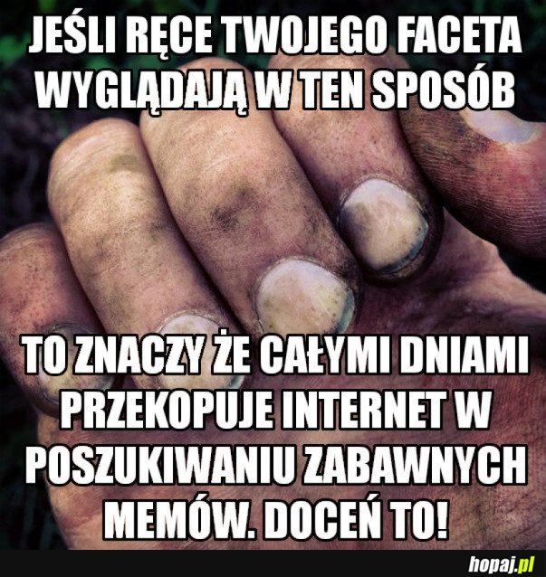 DOCEŃ JEGO WYSIŁEK