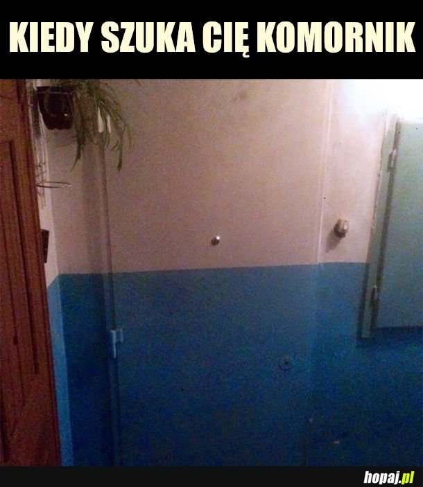 Cyk kamuflaż 100 