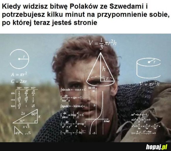 TĘGA ROZKMINA KMICICA