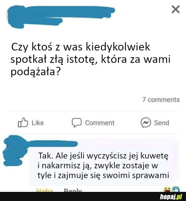 Zła istota