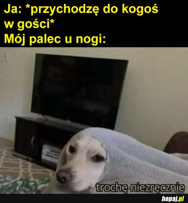 Mój palec