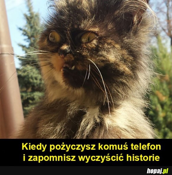 Nie pożyczam...