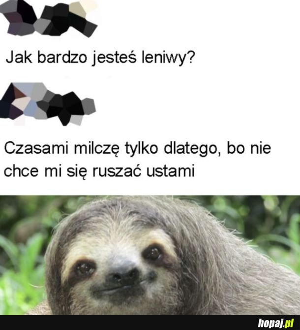 Bardzo