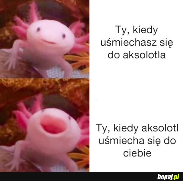 Uśmiech