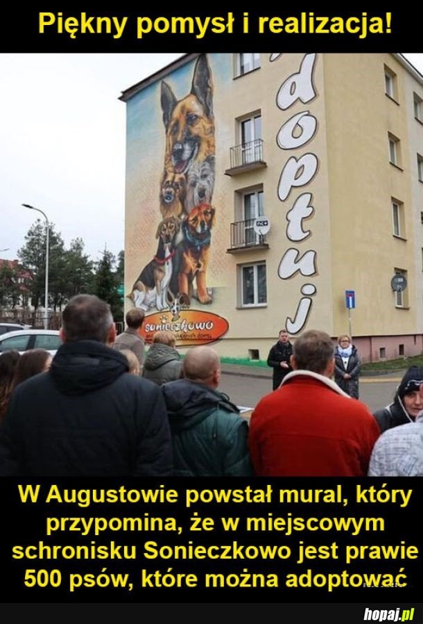 Schronisko Sonieczkowo
